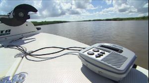 VIDEO: Hydrowave fish feeding simulator